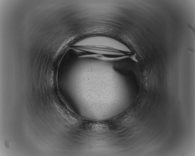 X0000099940400200806061523