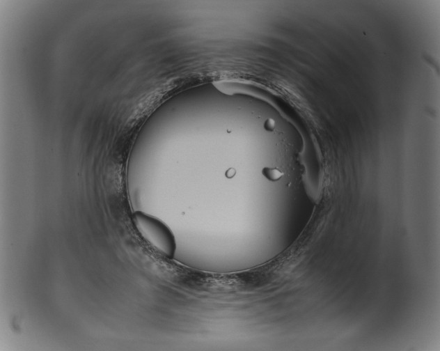 X0000099940401200806061523