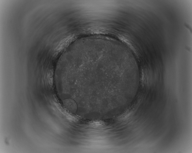 X0000099940402200806061523