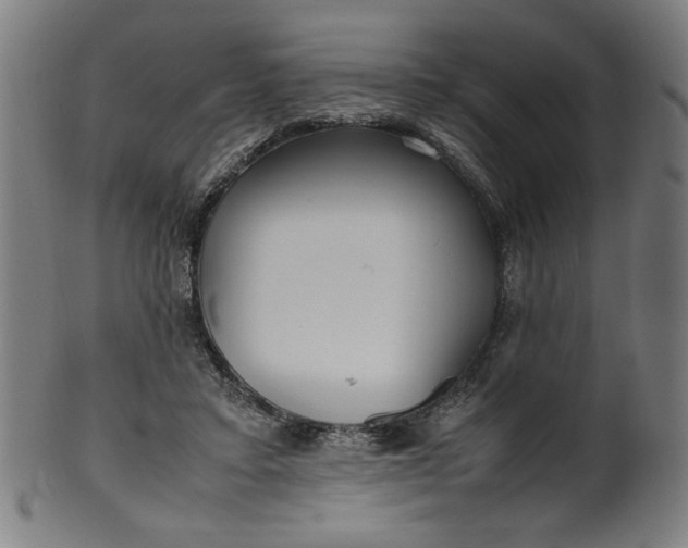 X0000099940403200806061523