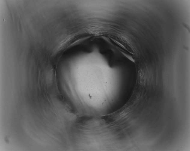 X0000099940404200806061523