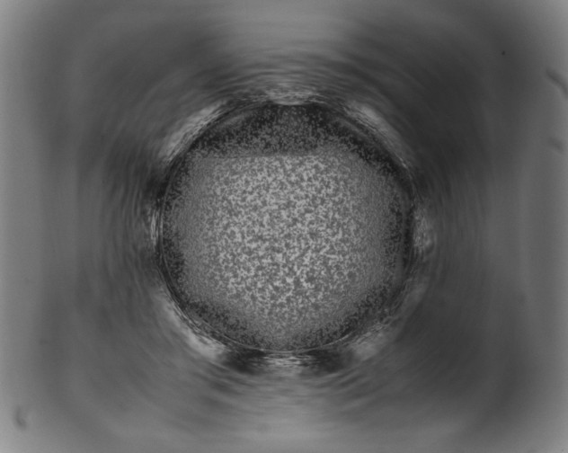 X0000099940405200806061523