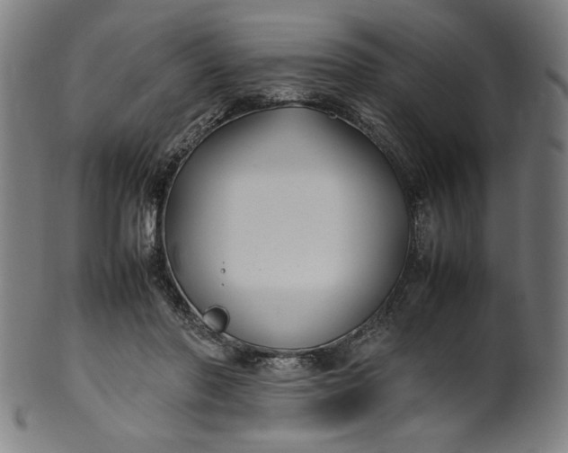 X0000099940406200806061523