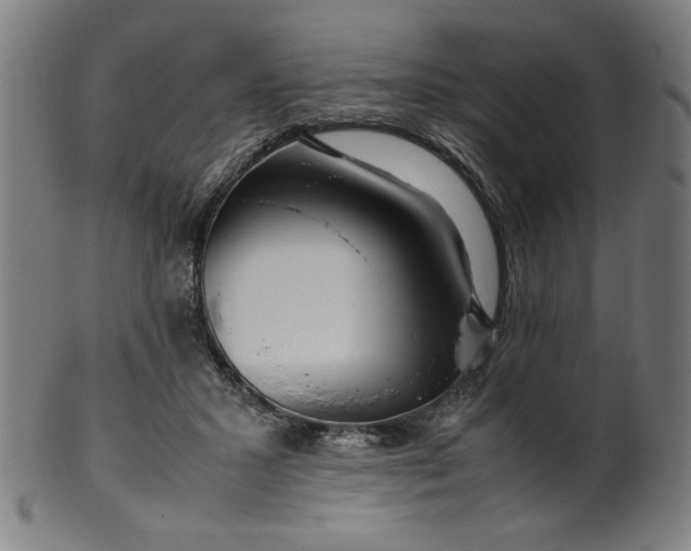 X0000099940407200806061523