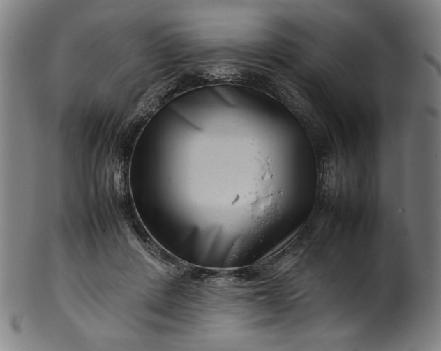 X0000099940408200806061523