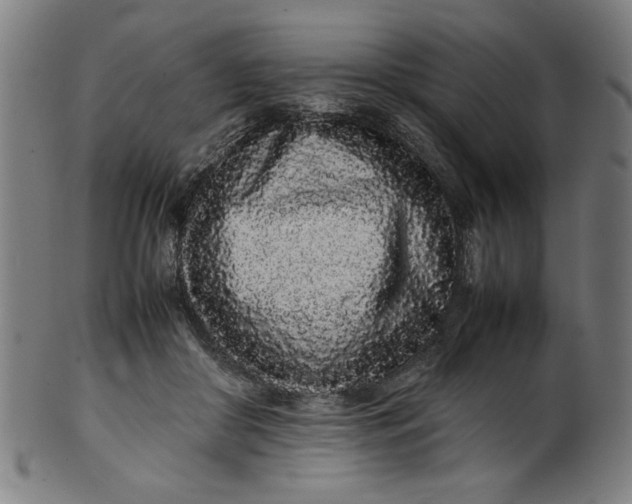 X0000099940410200806061523