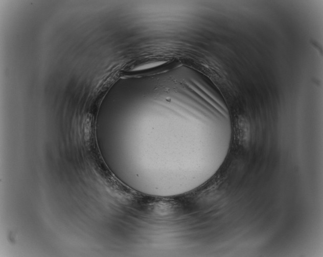 X0000099940412200806061523