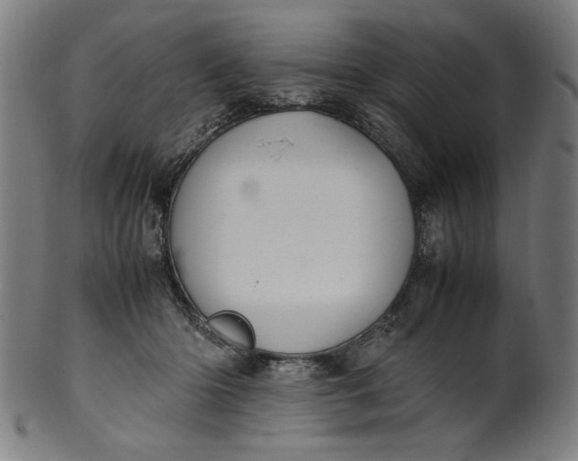X0000099940414200806061523