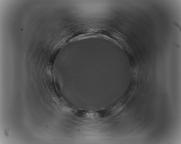 X0000099940415200806061523