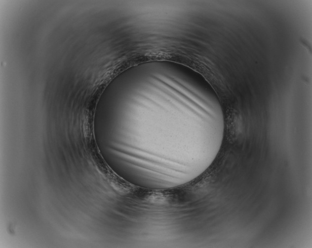 X0000099940416200806061523