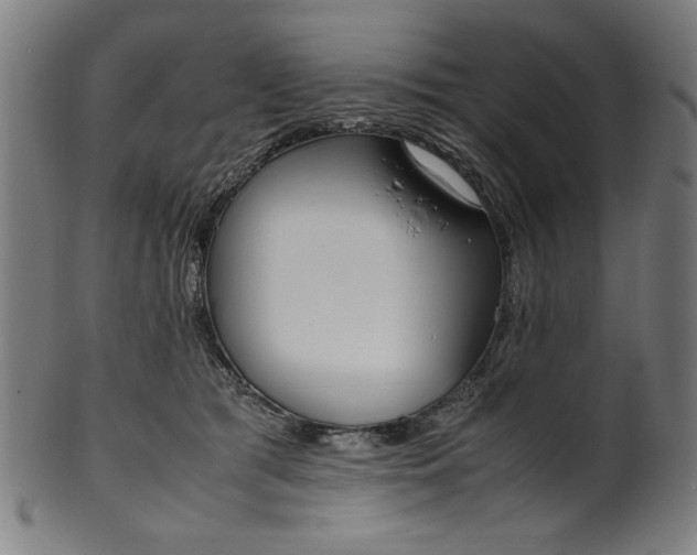 X0000099940417200806061523