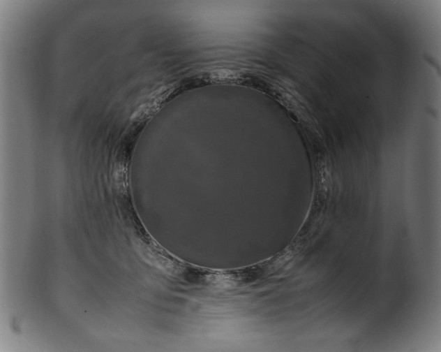 X0000099940419200806061523