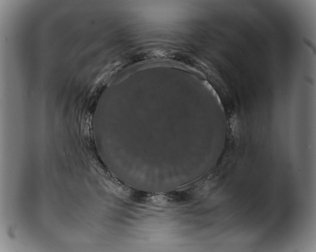 X0000099940423200806061523
