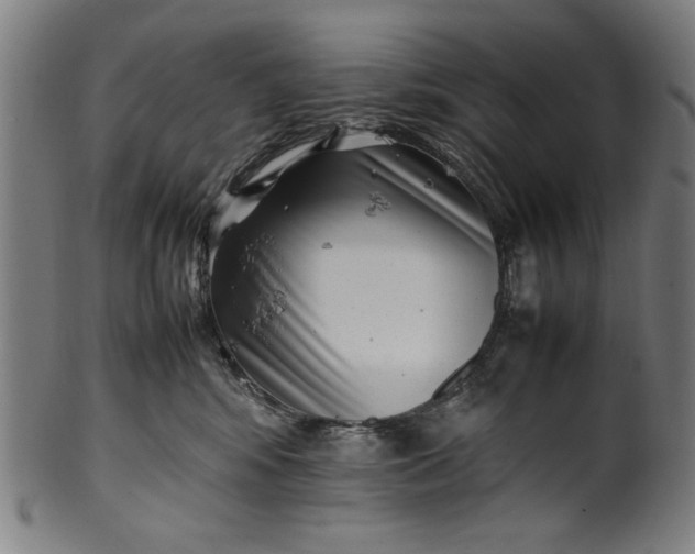 X0000099940424200806061523