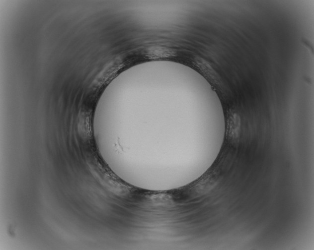 X0000099940426200806061523