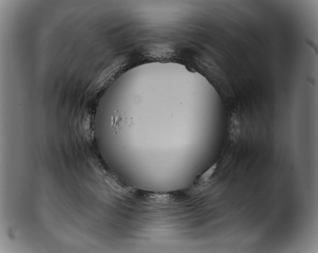 X0000099940428200806061523