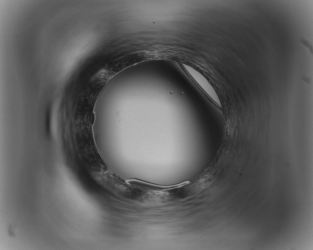 X0000099940429200806061523