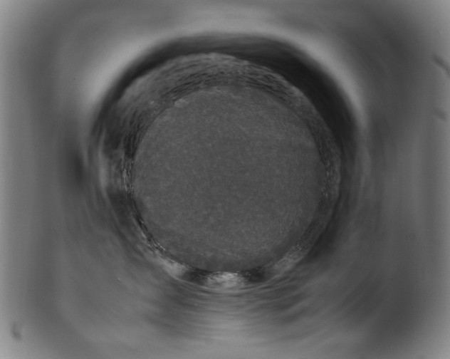 X0000099940431200806061522