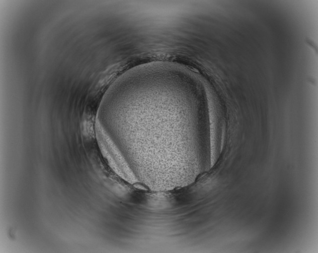 X0000099940432200806061522