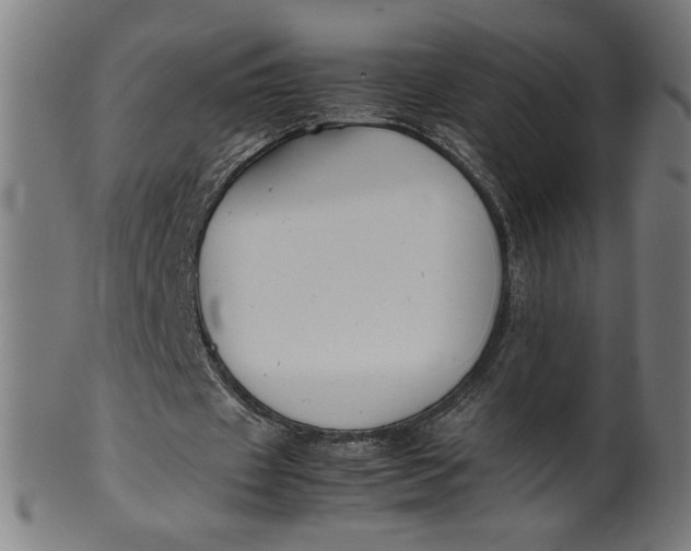 X0000099940433200806061522