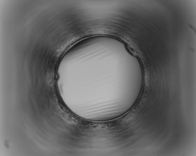 X0000099940434200806061522