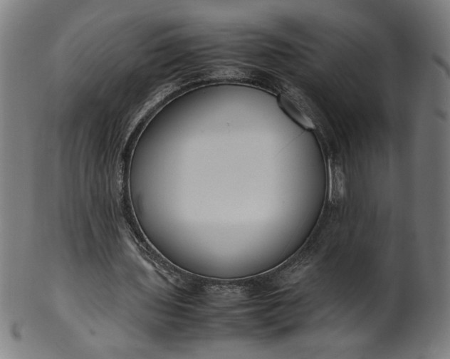 X0000099940435200806061522