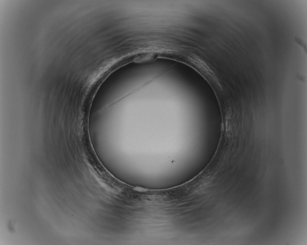 X0000099940436200806061522