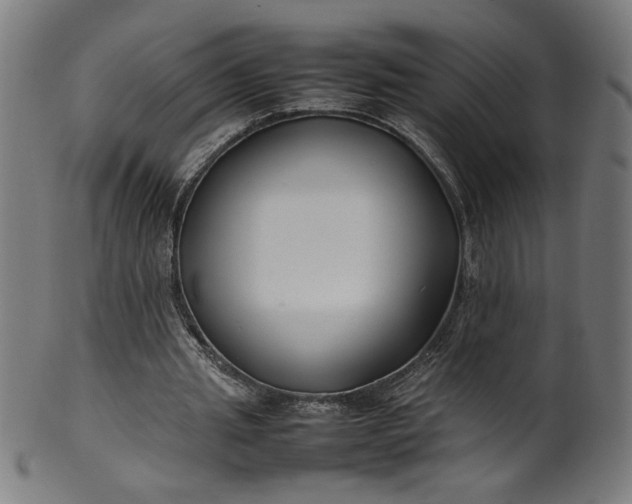 X0000099940437200806061522