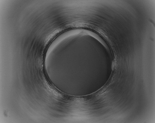 X0000099940438200806061522