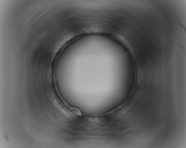 X0000099940439200806061522