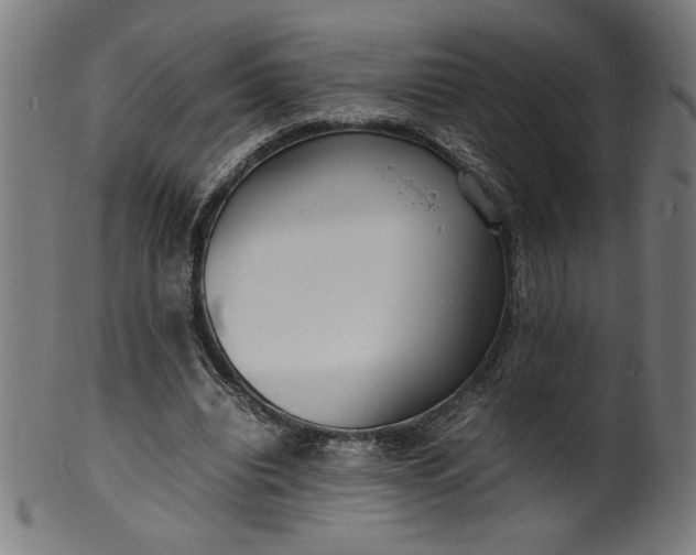 X0000099940440200806061522