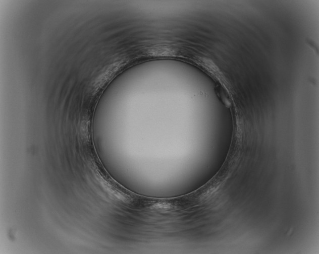 X0000099940441200806061522