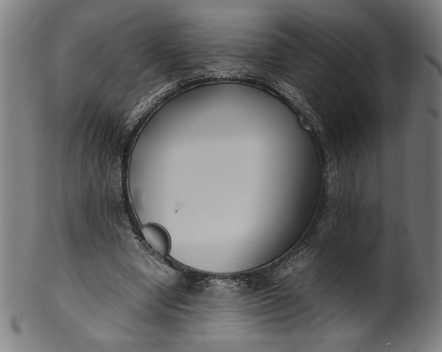 X0000099940442200806061522