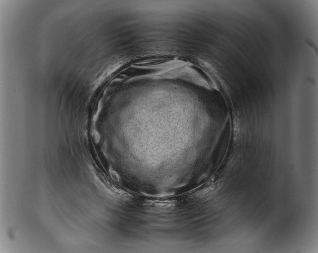 X0000099940443200806061522