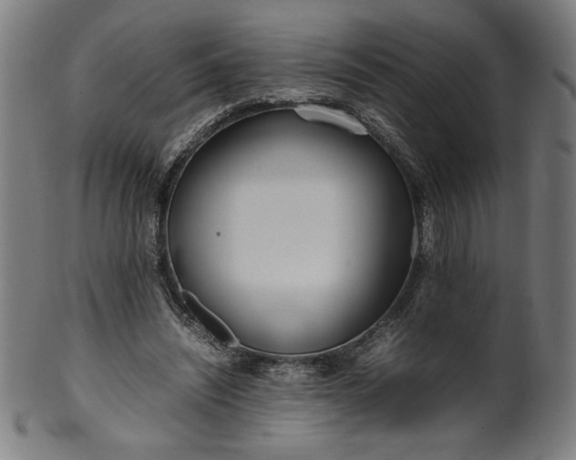 X0000099940444200806061522