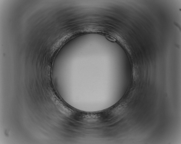 X0000099940445200806061522