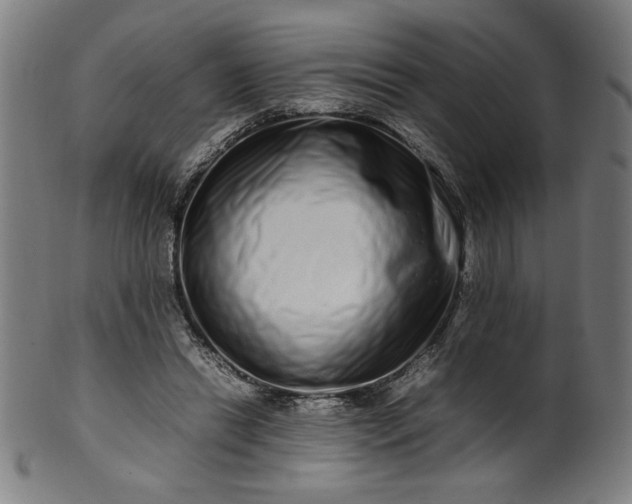 X0000099940446200806061522