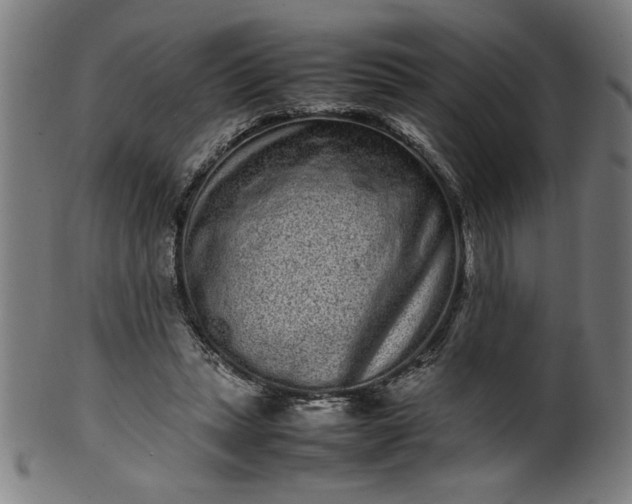 X0000099940447200806061522