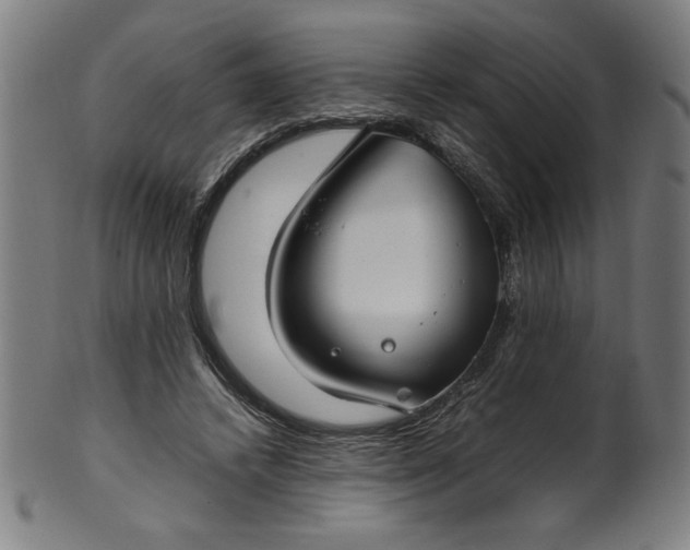 X0000099940448200806061522