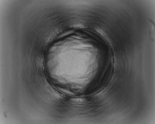 X0000099940449200806061522