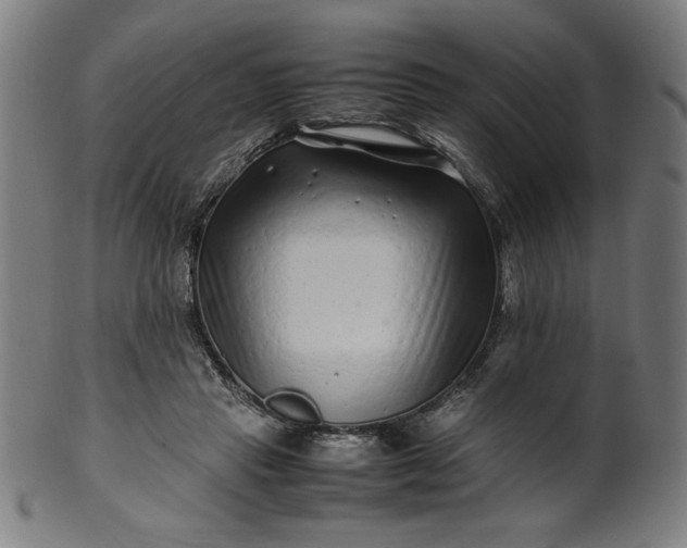 X0000099940453200806061522