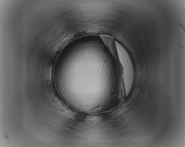 X0000099940454200806061522