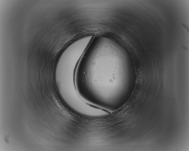 X0000099940456200806061522