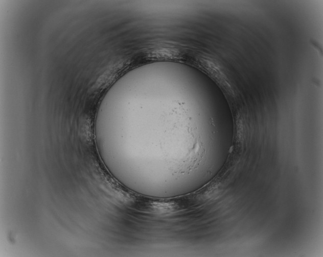 X0000099940457200806061522