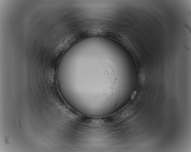 X0000099940458200806061522