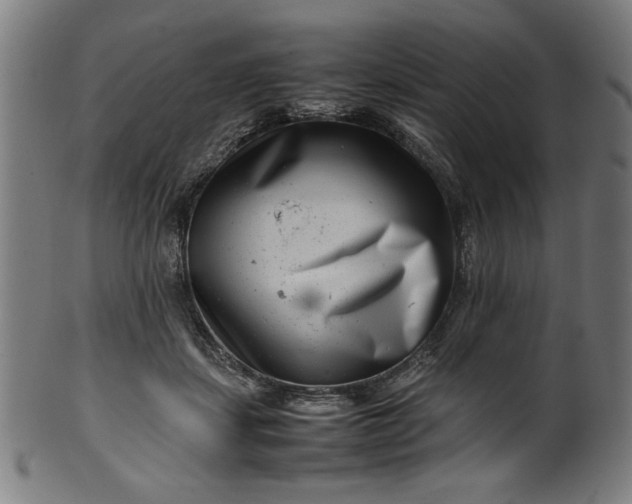 X0000099940459200806061522