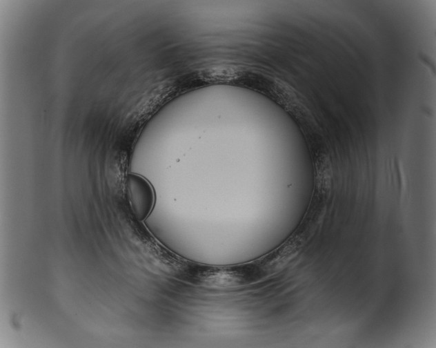 X0000099940460200806061522