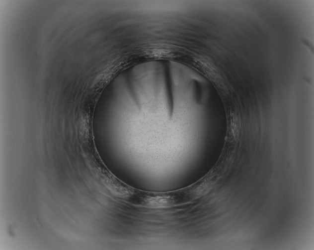 X0000099940461200806061522