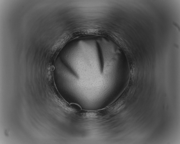 X0000099940462200806061522