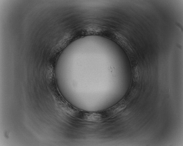 X0000099940463200806061522